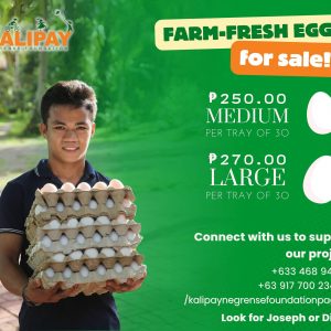 Fresh Eggs that Bring Joy!